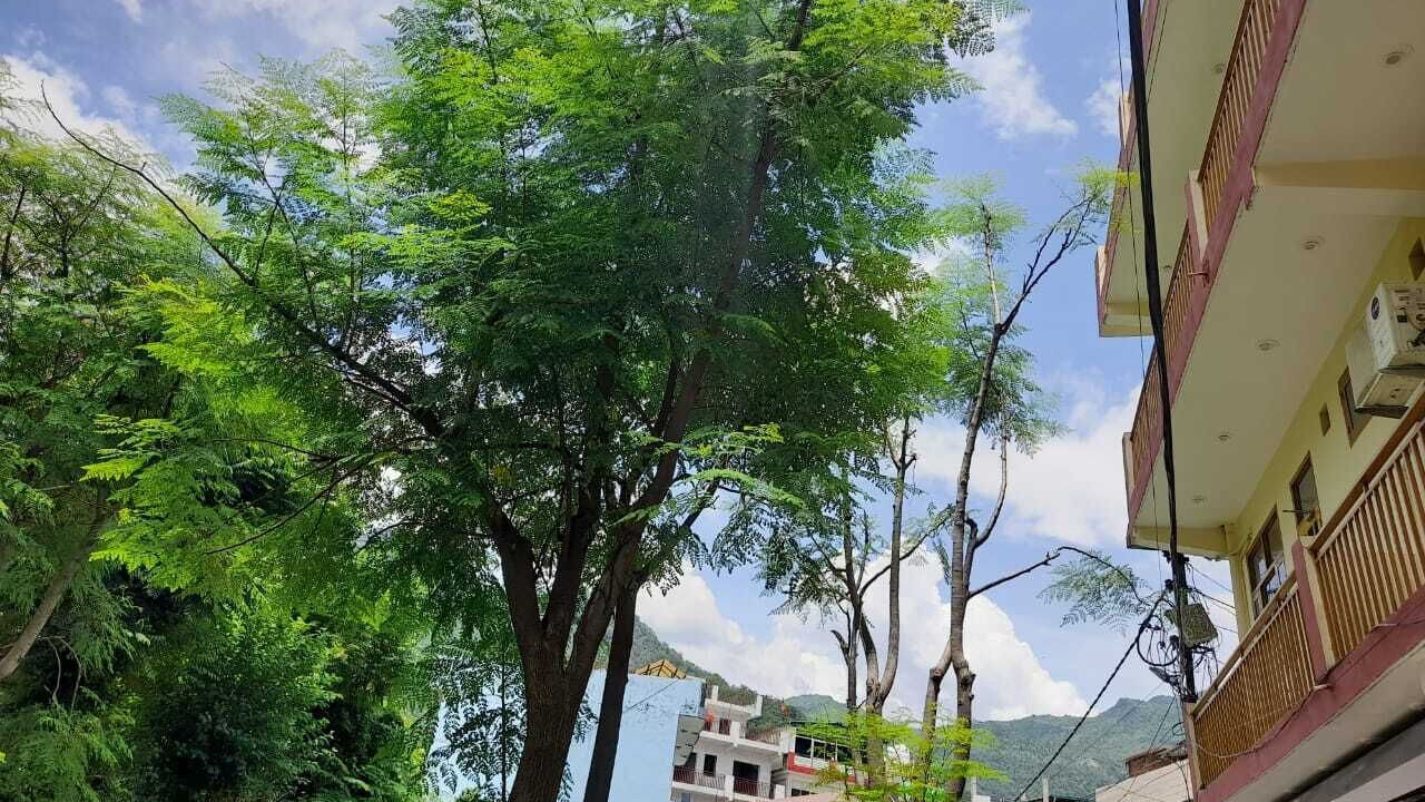 Photo of Outdoor in Tapovan