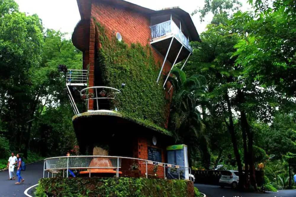 Photo of Outdoor in Salvador do Mundo