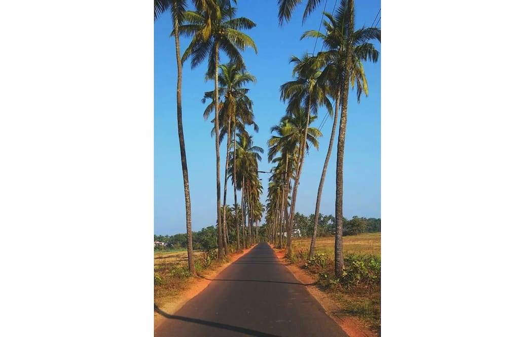 Photo of Outdoor in Salvador do Mundo