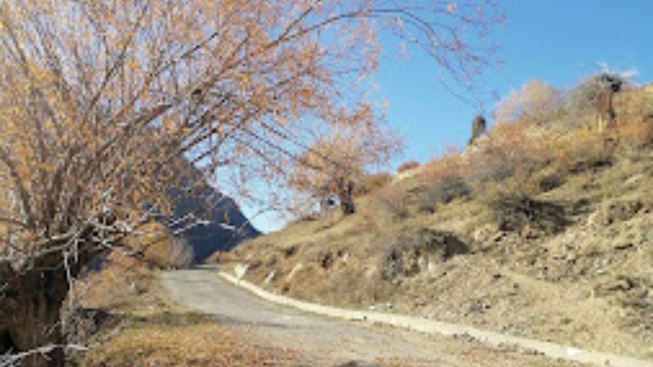 Photo of Others in Keylong