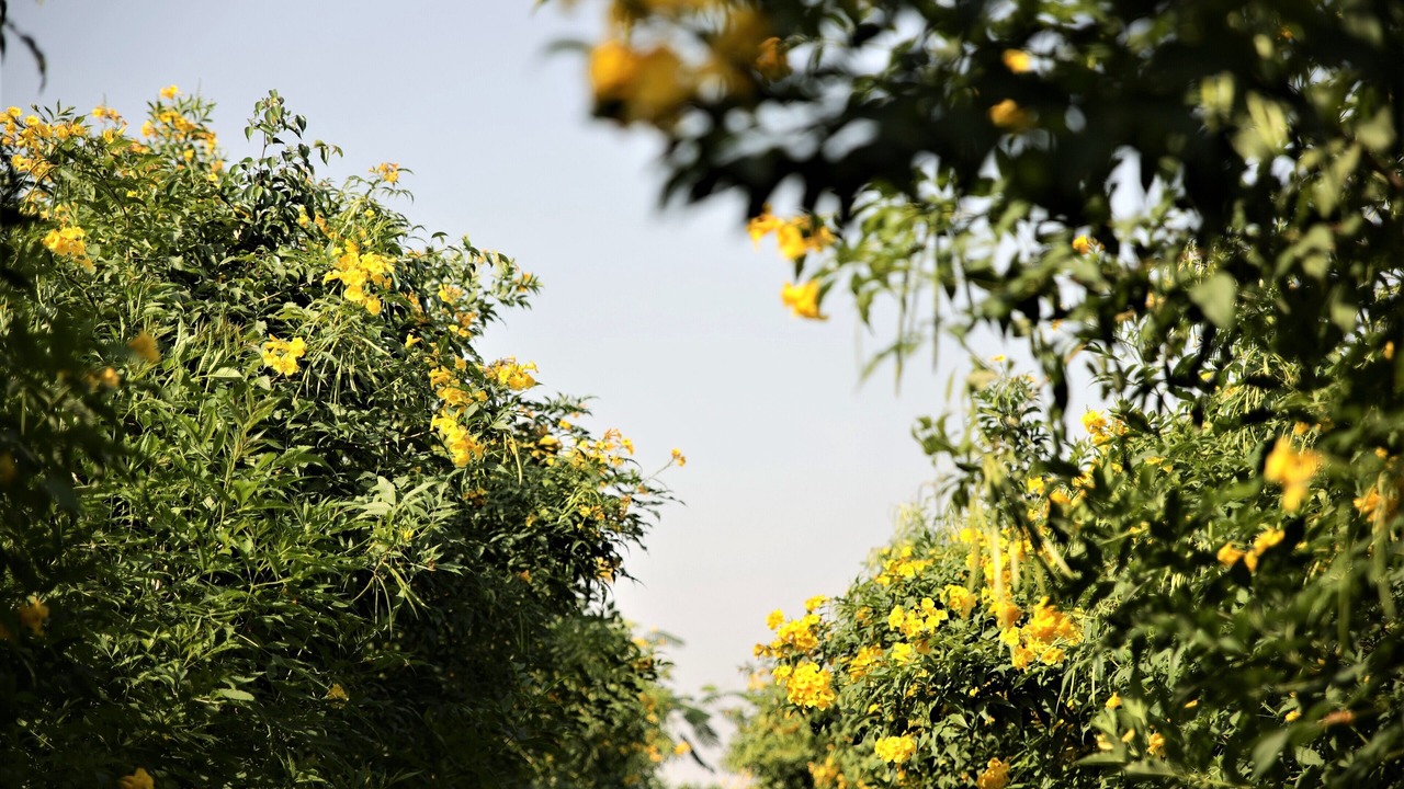 Photo of Outdoor in Manesar