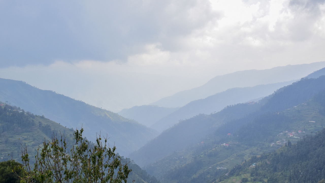 Photo of Others in Shimla