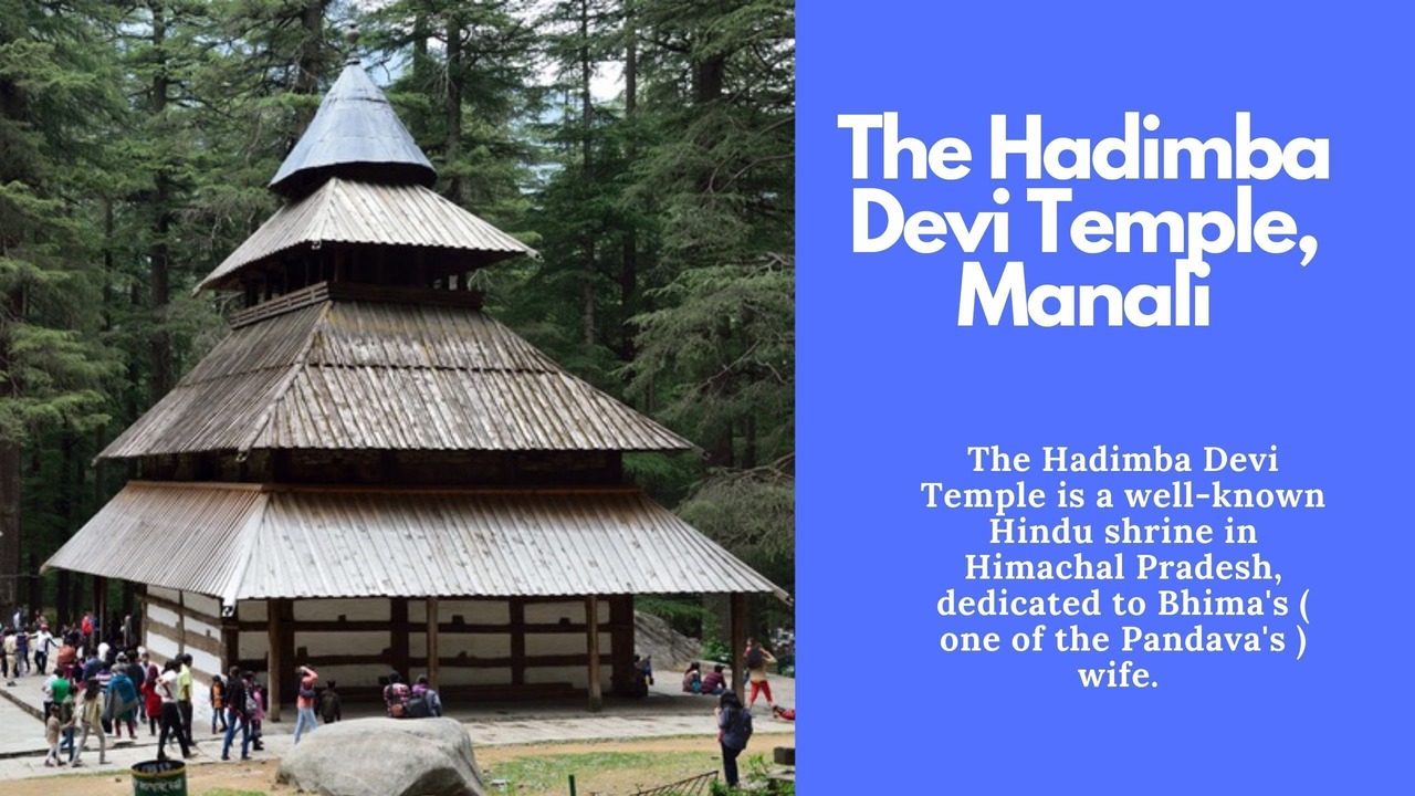 Photo of Others in Manali