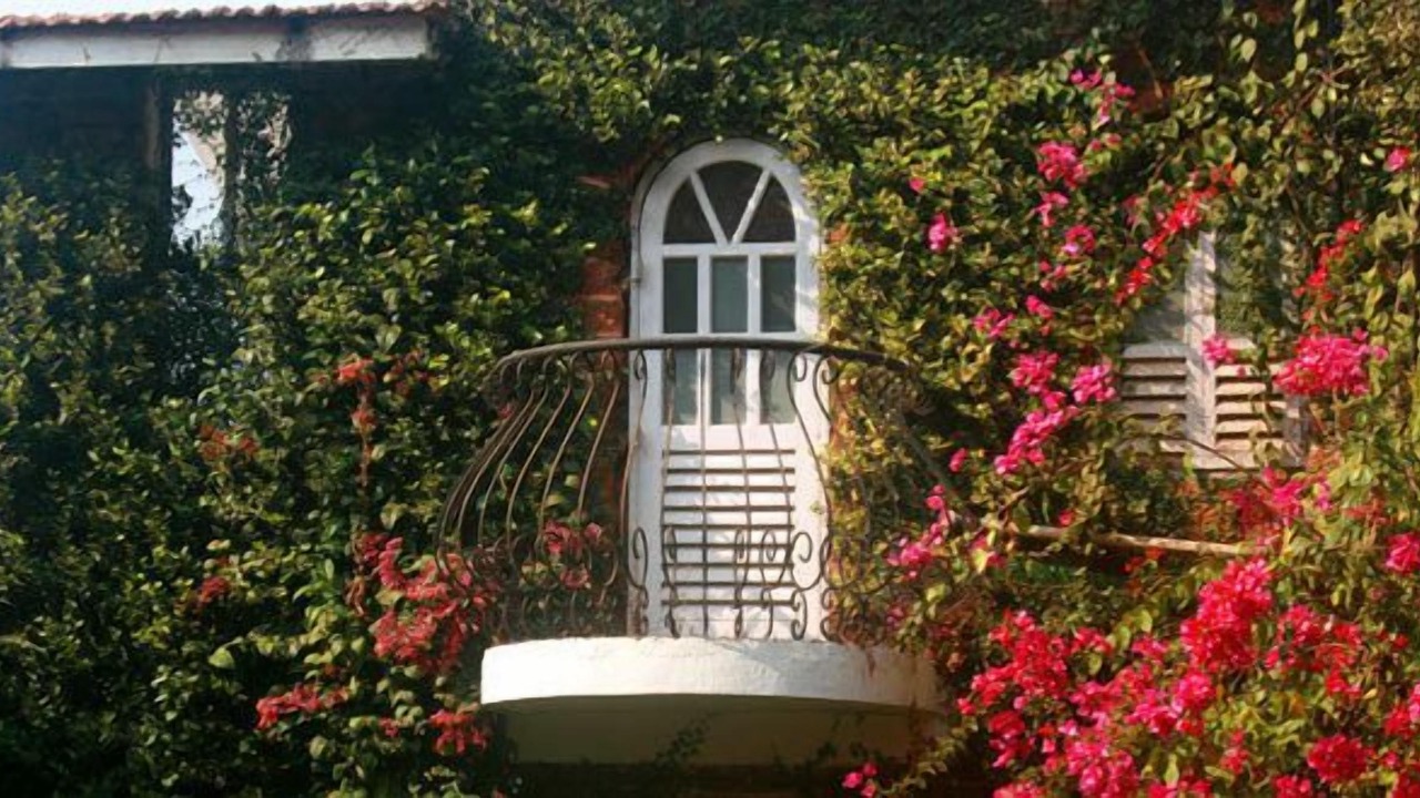 Photo of Outdoor in Baga