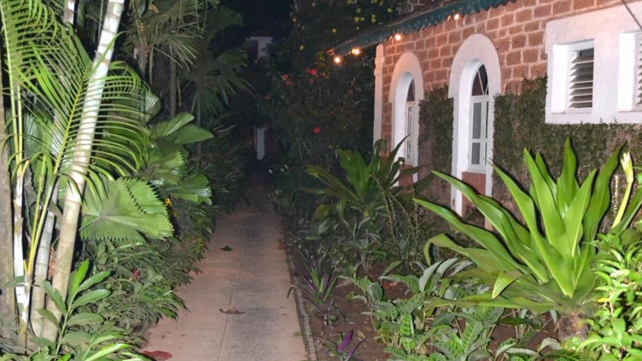 Photo of Outdoor in Baga
