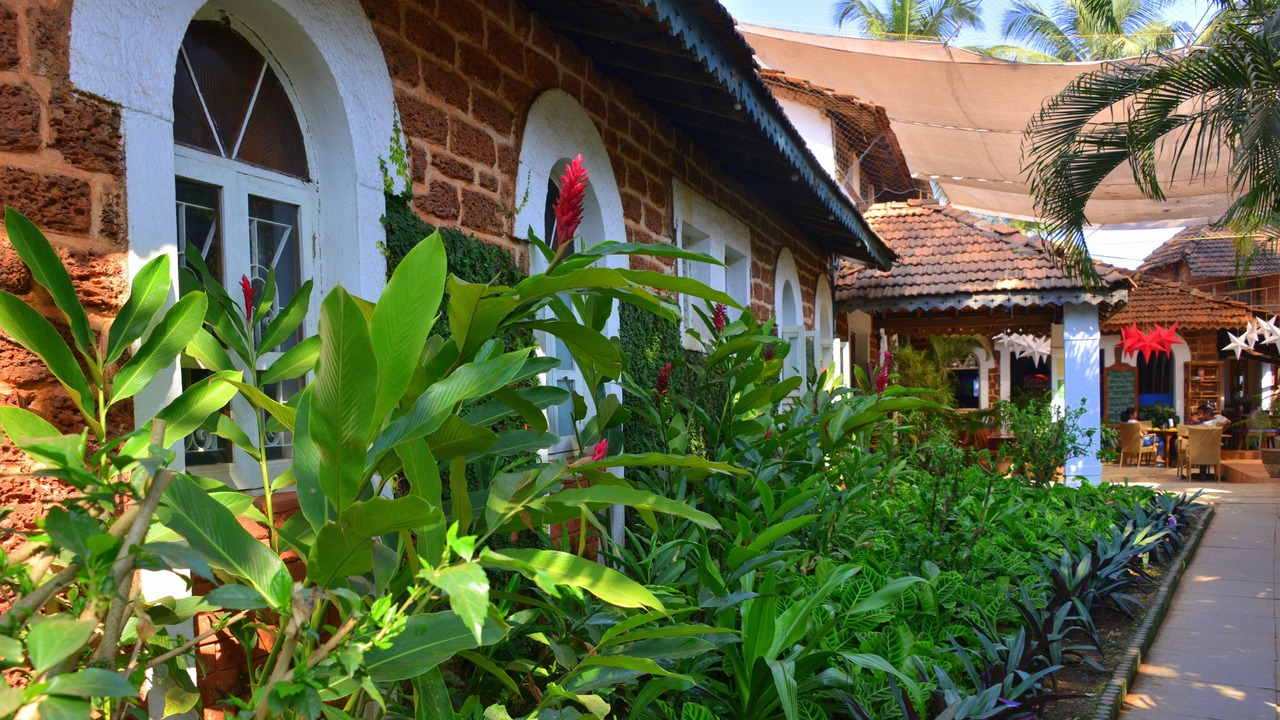 Photo of Outdoor in Baga