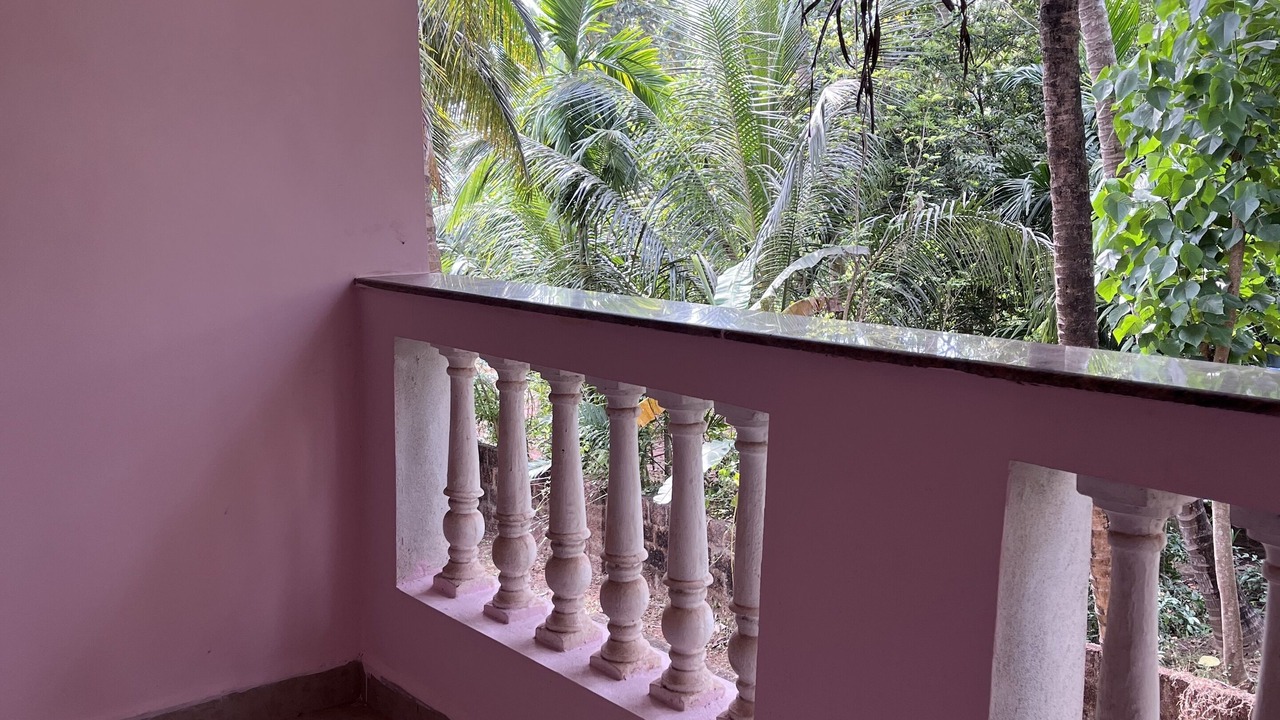Photo of Others in Agonda