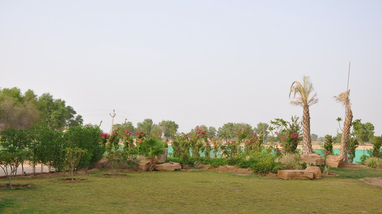 Photo of Outdoor in Pachpadra