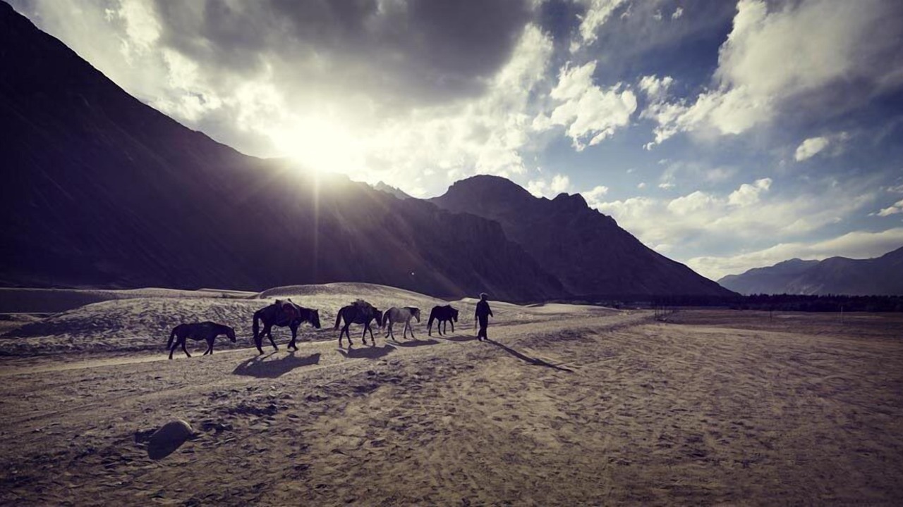 Photo of Outdoor in Diskit