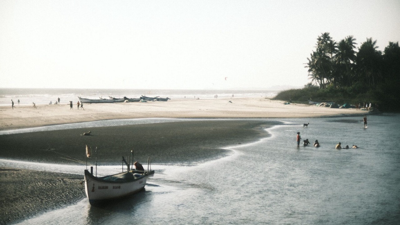 Photo of Others in Mandrem
