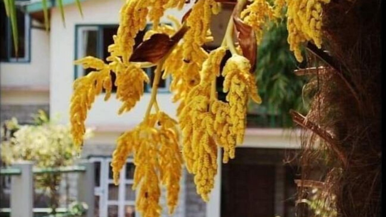 Photo of Outdoor in Sungava