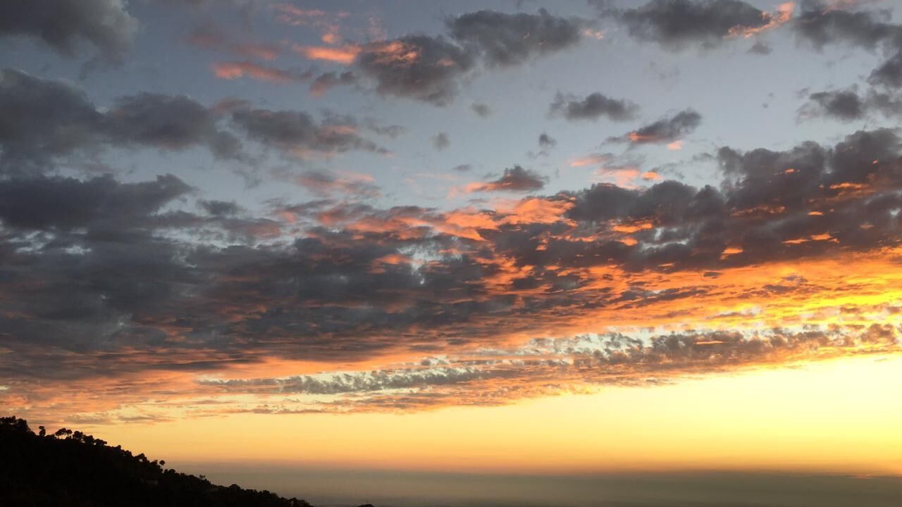 Photo of Outdoor in Kasauli