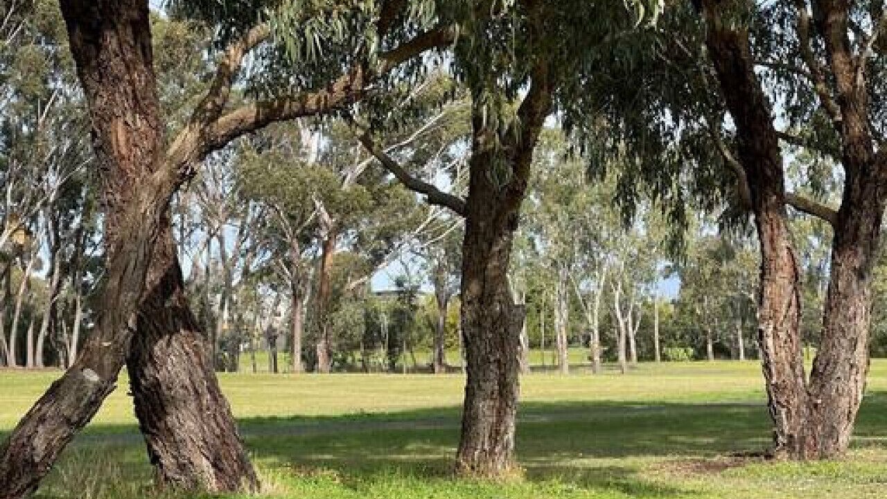 Photo of Outdoor in Belmont