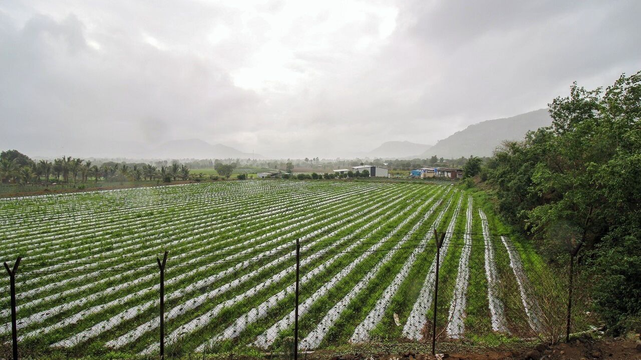 Photo of Others in Junnar