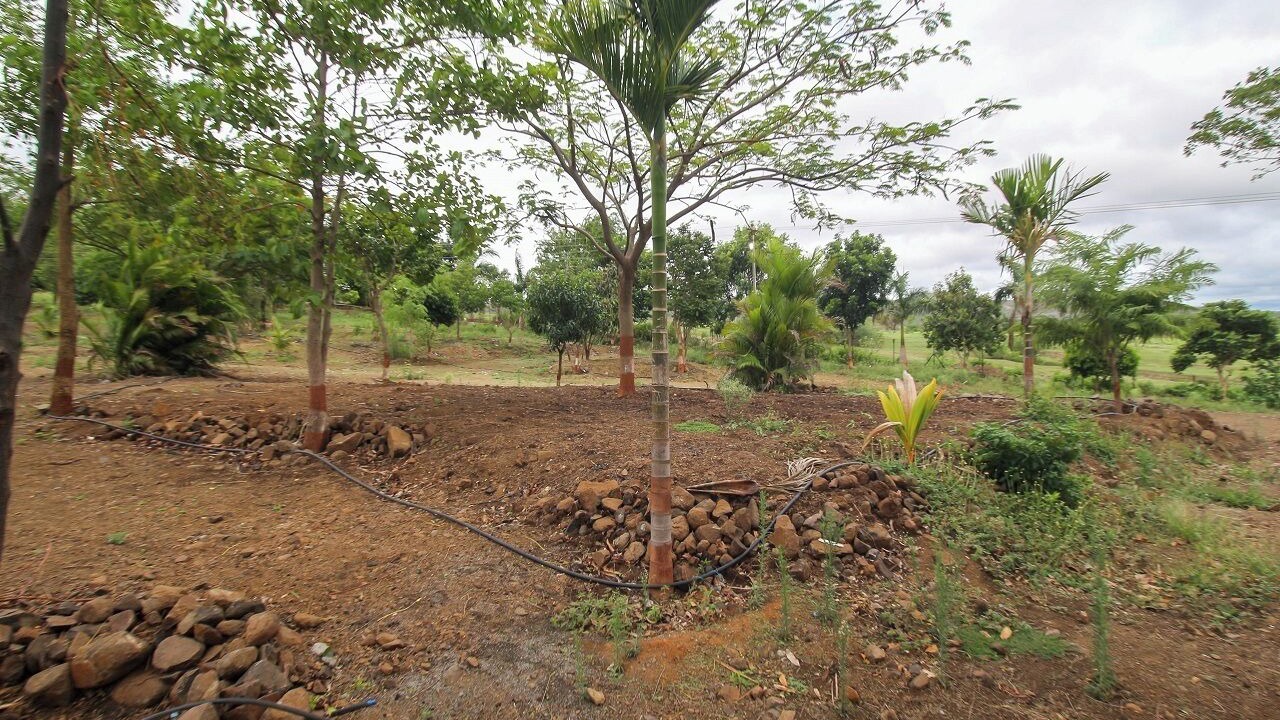 Photo of Outdoor in Junnar