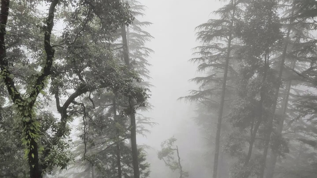 Photo of Others in Mussoorie