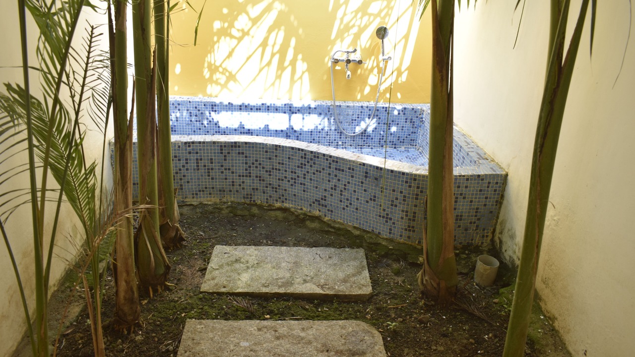 Photo of Bathroom in Masinagudi