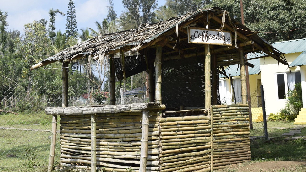 Photo of Outdoor in Masinagudi