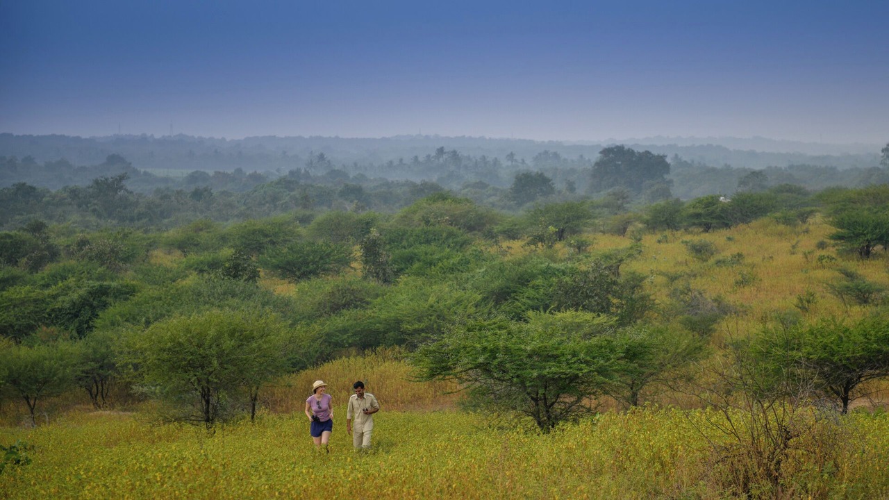 Photo of Outdoor in Talala