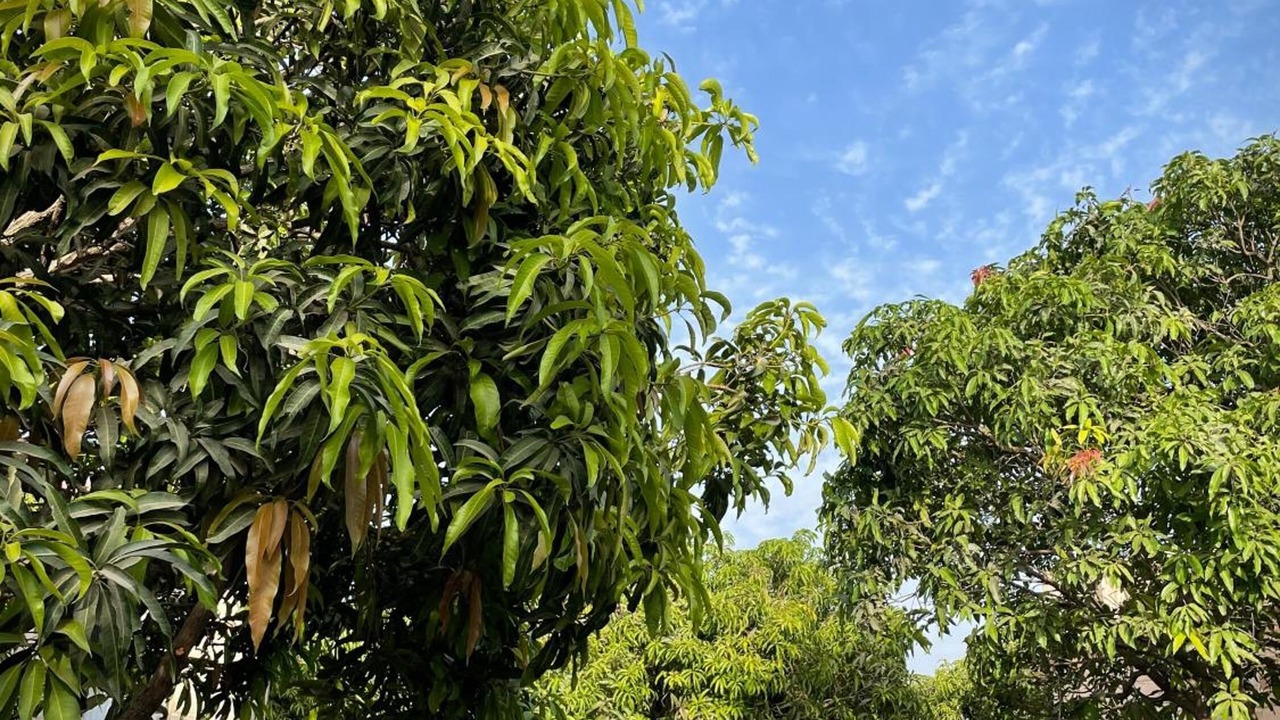 Photo of Outdoor in Talala