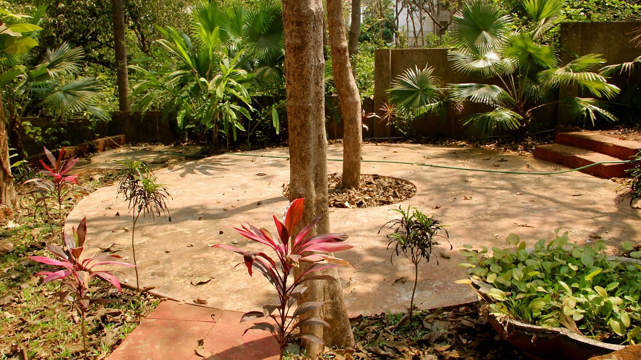 Photo of Outdoor in Assagao