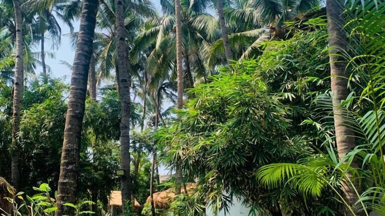 Photo of Outdoor in Morjim
