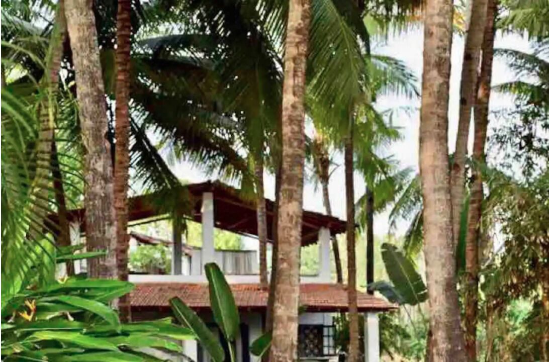 Photo of Outdoor in Morjim