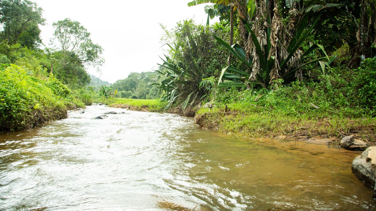 Photo of Outdoor in Madikeri