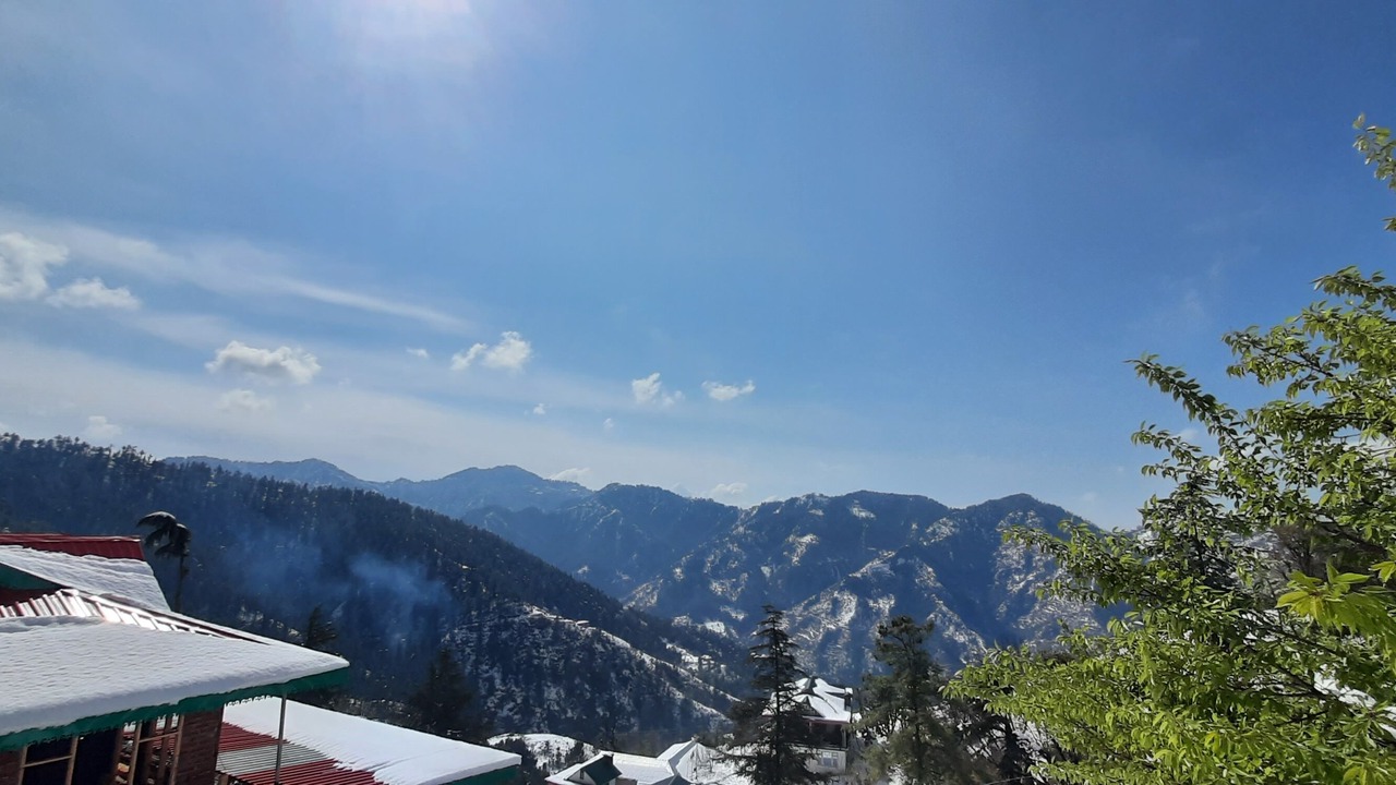 Photo of Others in Shimla