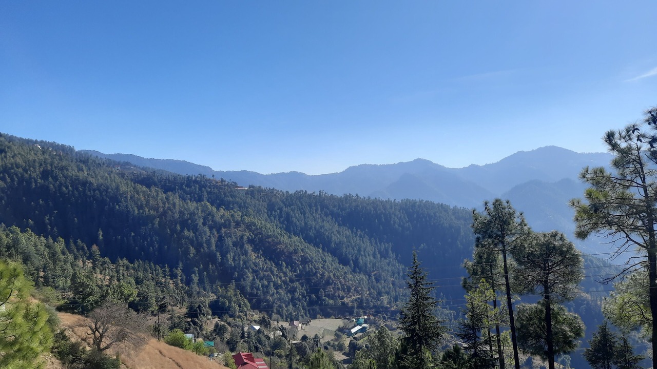 Photo of Others in Shimla