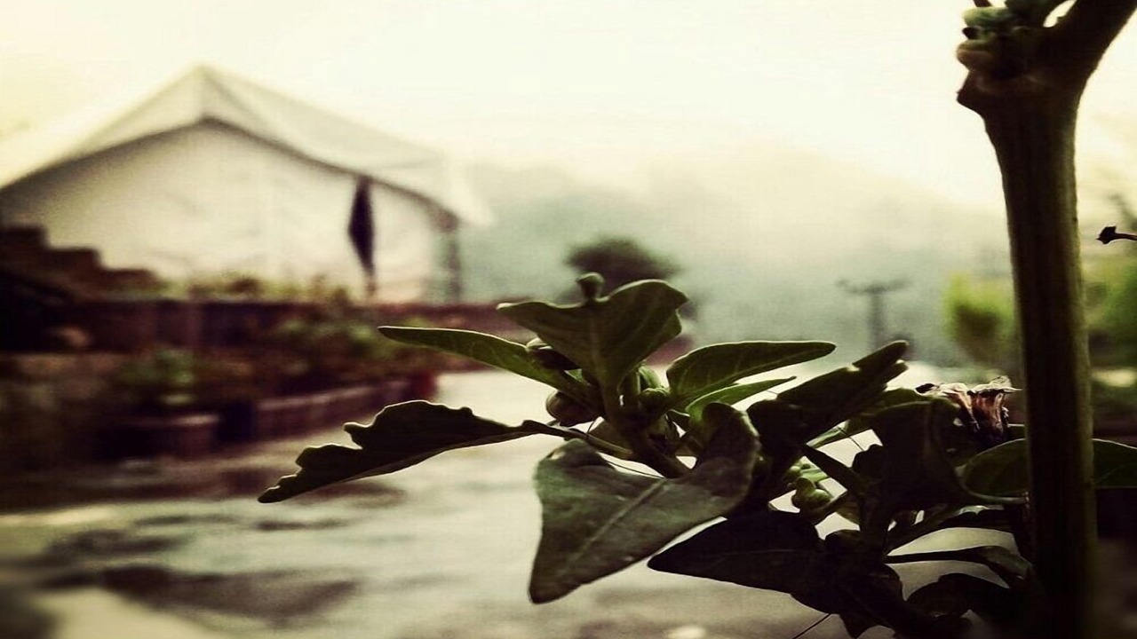 Photo of Outdoor in Kasiyalekh