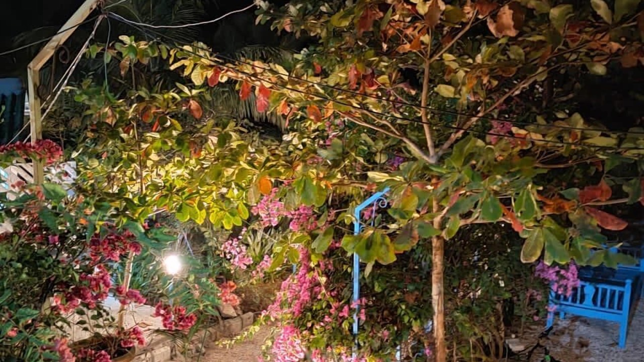 Photo of Outdoor in Murud