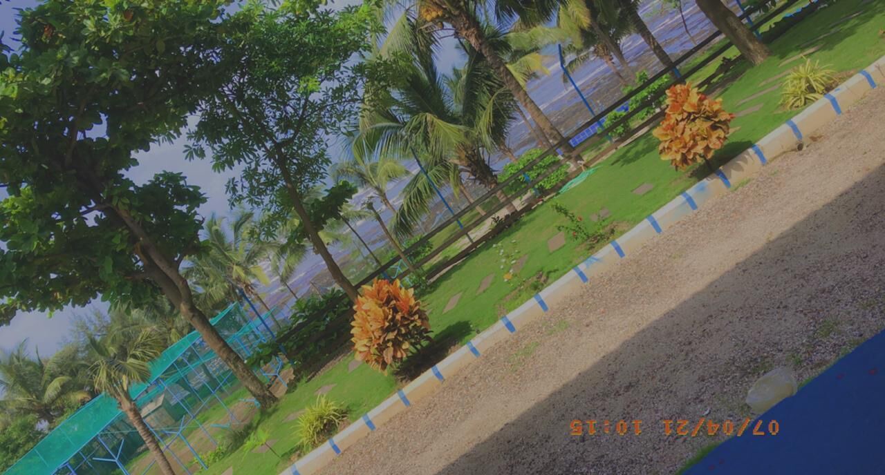 Photo of Others in Murud