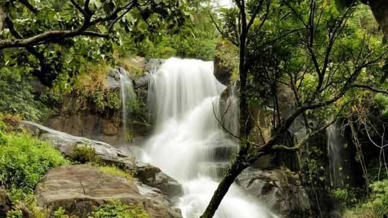 Photo of Others in Vellamunda