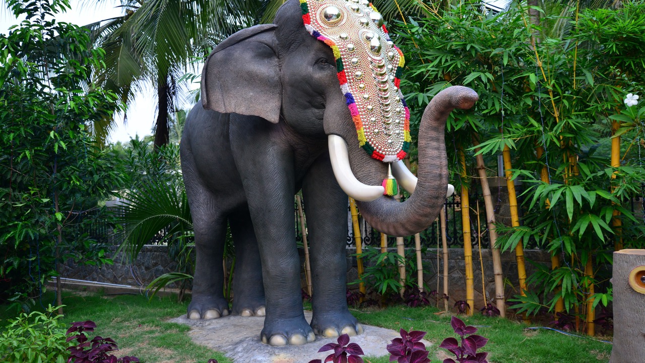 Photo of Outdoor in Thiruvananthapuram