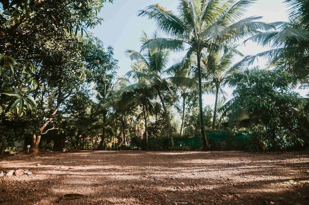 Photo of Outdoor in Murud