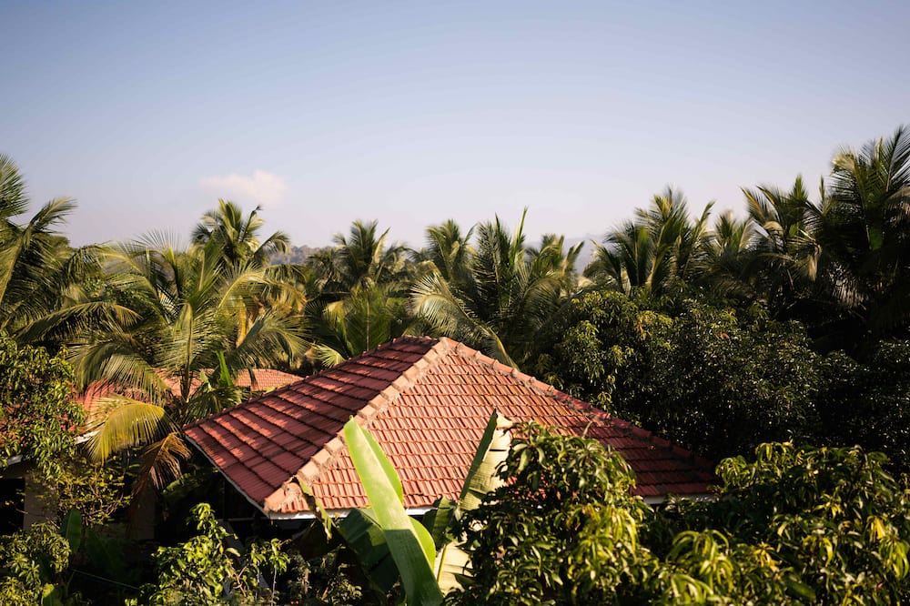 Photo of Outdoor in Murud