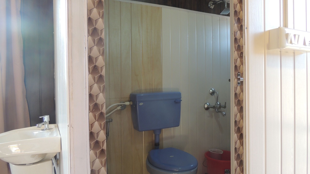 Photo of Bathroom in Timbholi