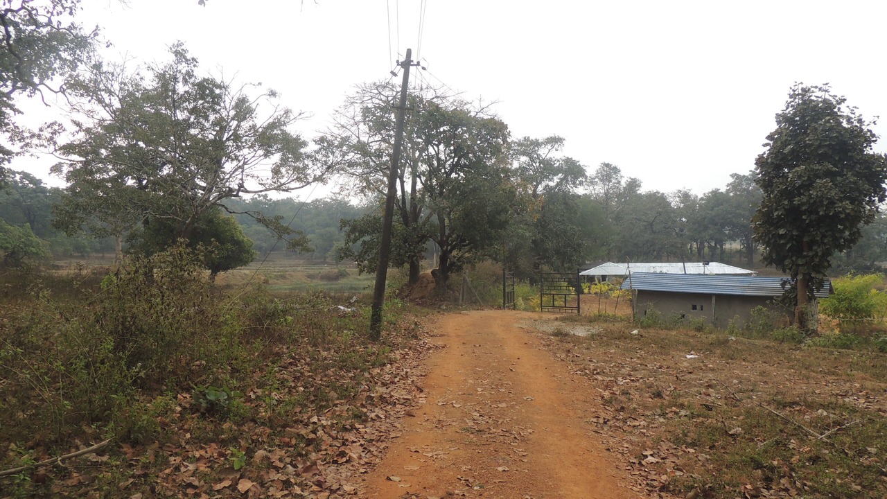 Photo of Outdoor in Timbholi