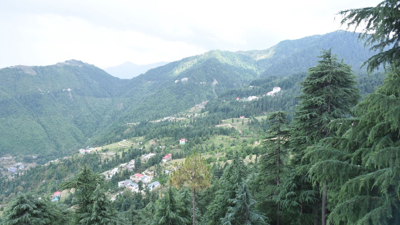 Photo of Others in Khajjiar