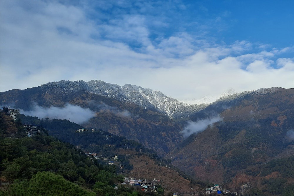 Photo of Others in Dharamshala
