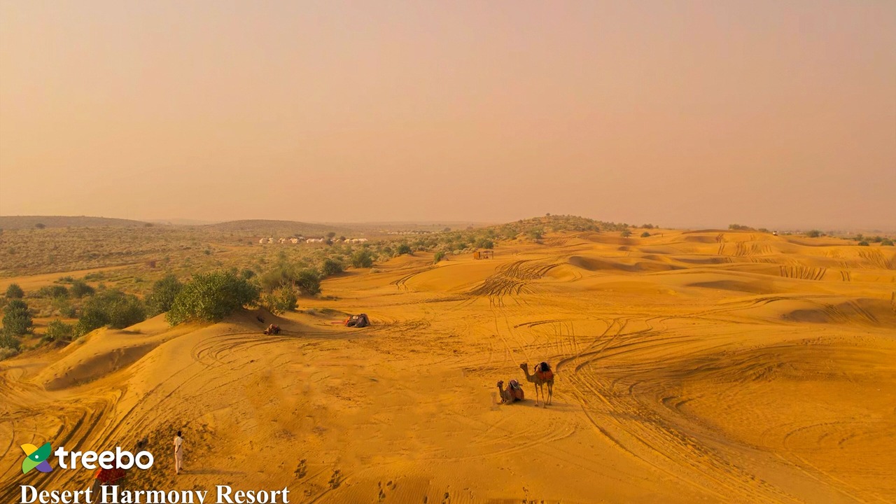 Photo of Outdoor in Sam