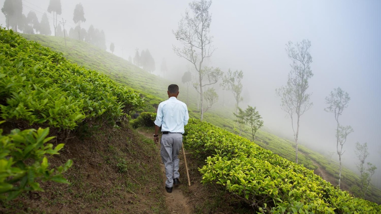 Photo of Outdoor in Kurseong