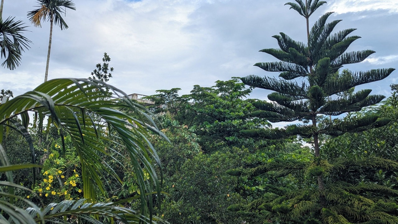 Photo of Outdoor in Sreemangal Upazila