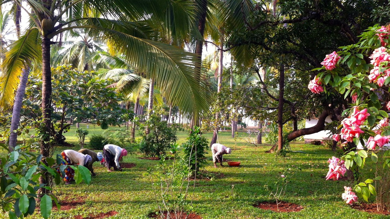 Photo of Outdoor in Neeleshwar