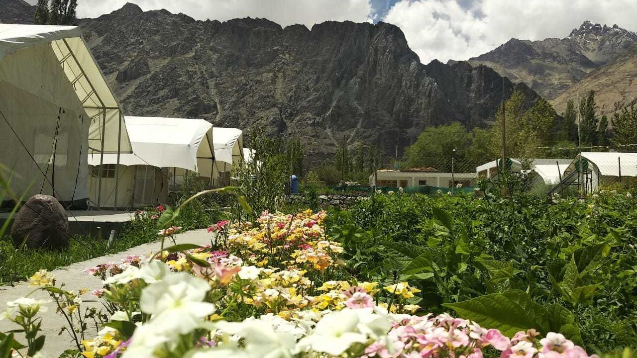 Photo of Outdoor in She