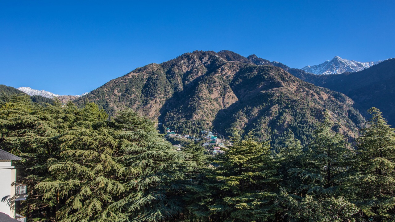 Photo of Others in Dharamshala