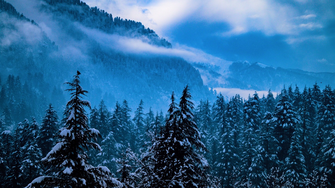 Photo of Others in New Manali