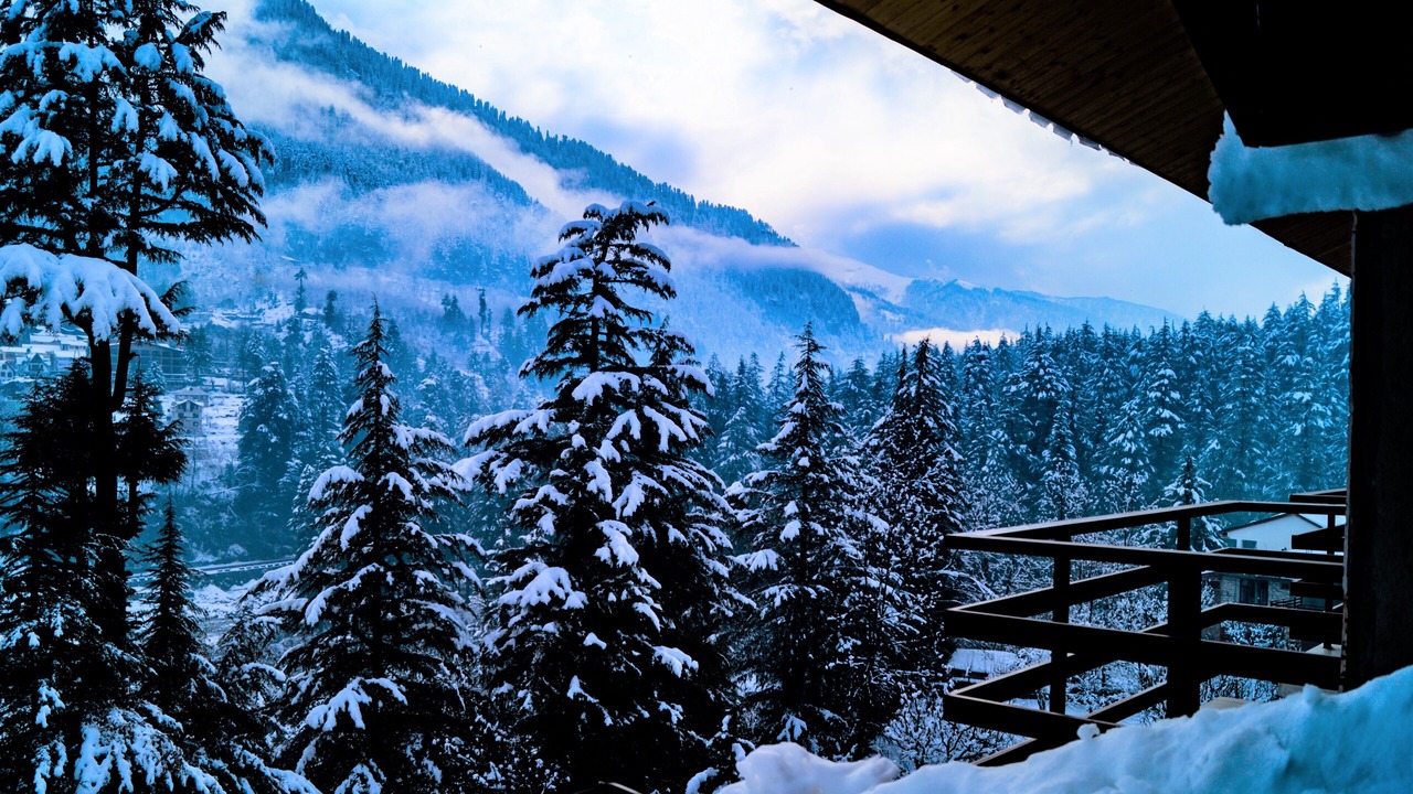 Photo of Others in New Manali