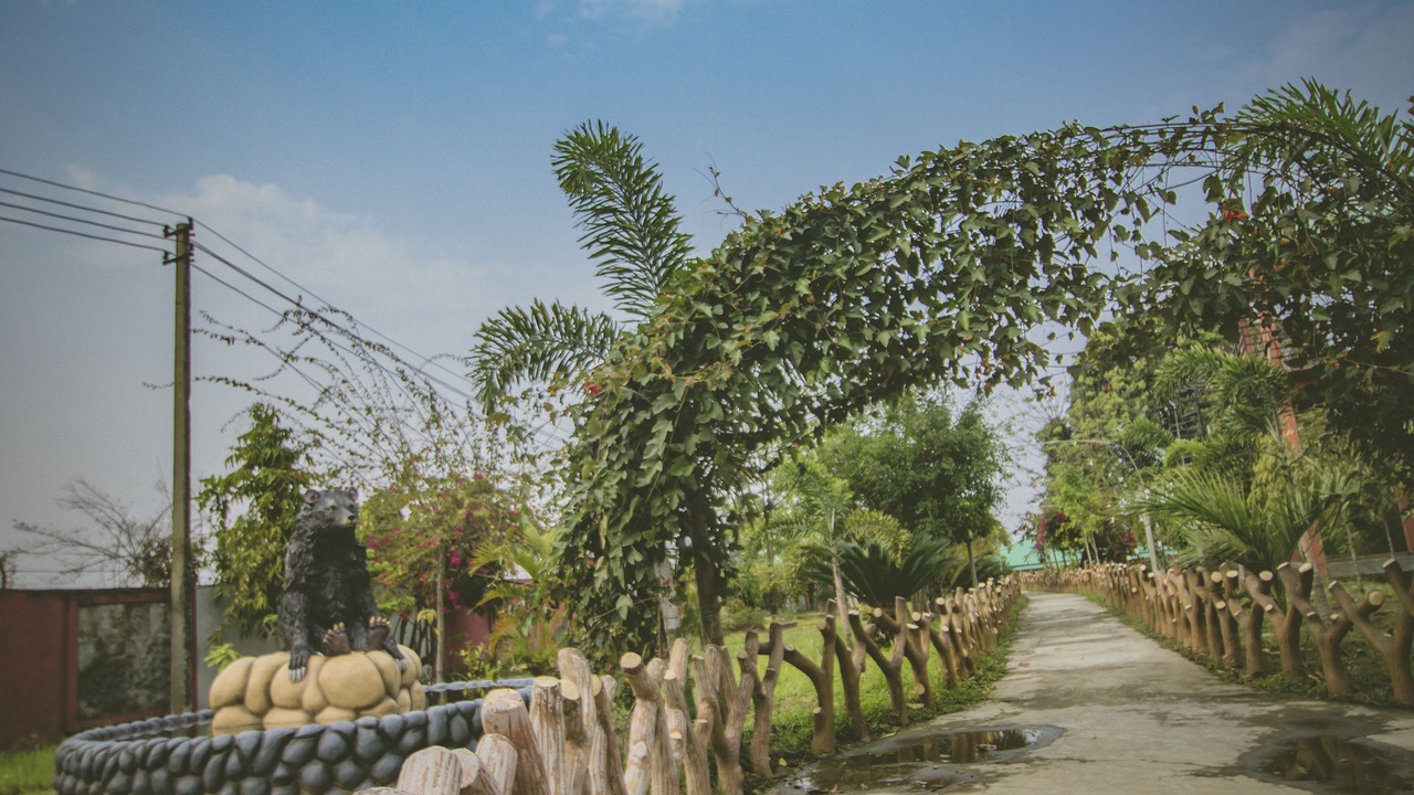 Photo of Outdoor in Tezpur